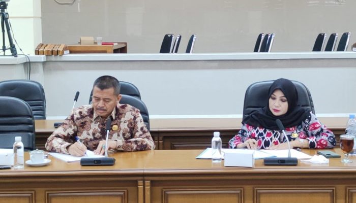 Komisi I Soroti Proses Rotasi Promosi Jabatan dan Seleksi PPPK