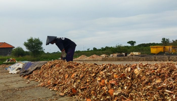 Meraup Pendapatan dari Kulit Rajungan