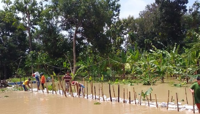 Mahasiswa KKM Desa Plumbon dan Warga Gotong Royong Bangun Bendungan Darurat