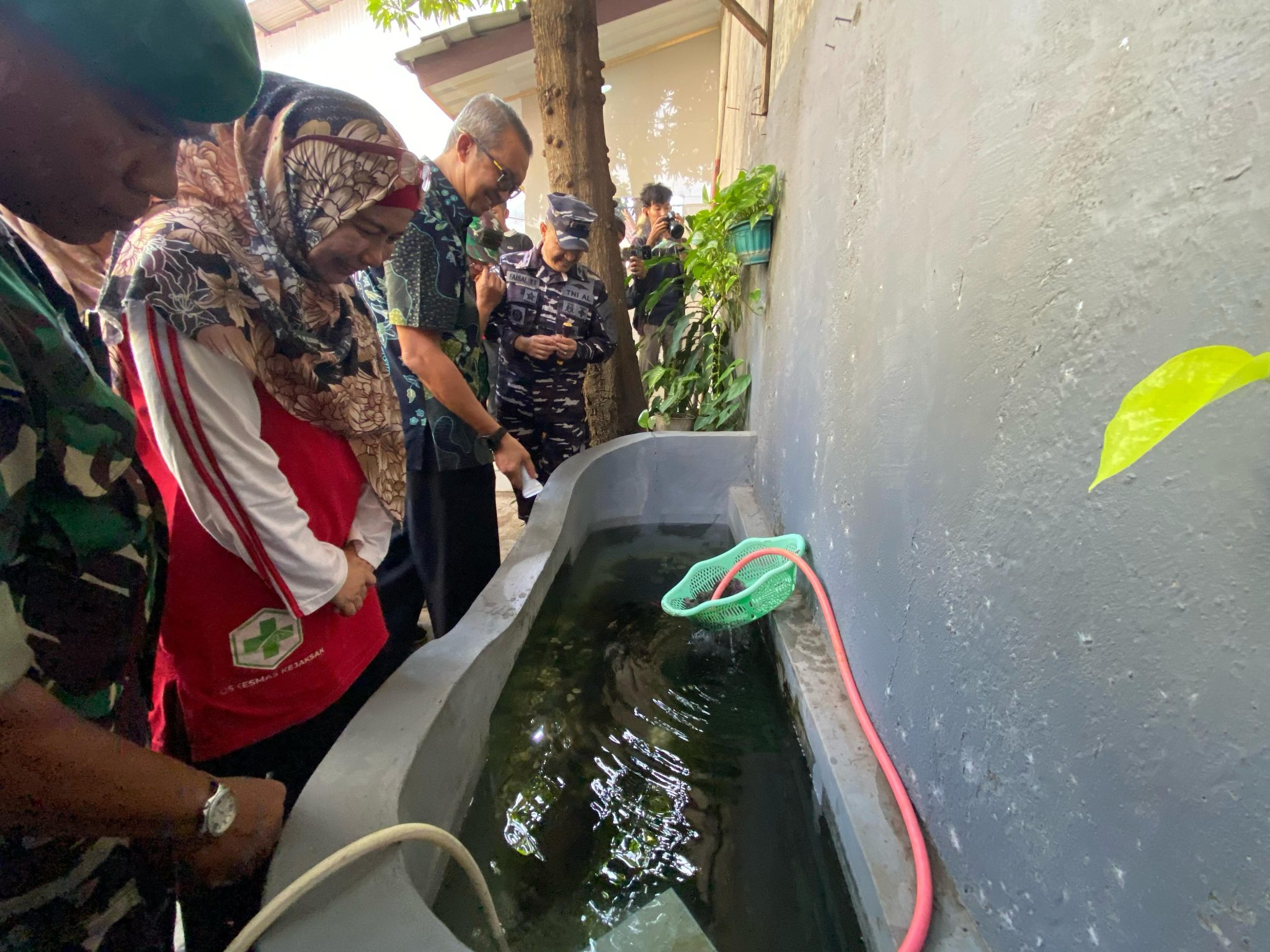 Angka DBD di Kota Cirebon meningkat tajam.