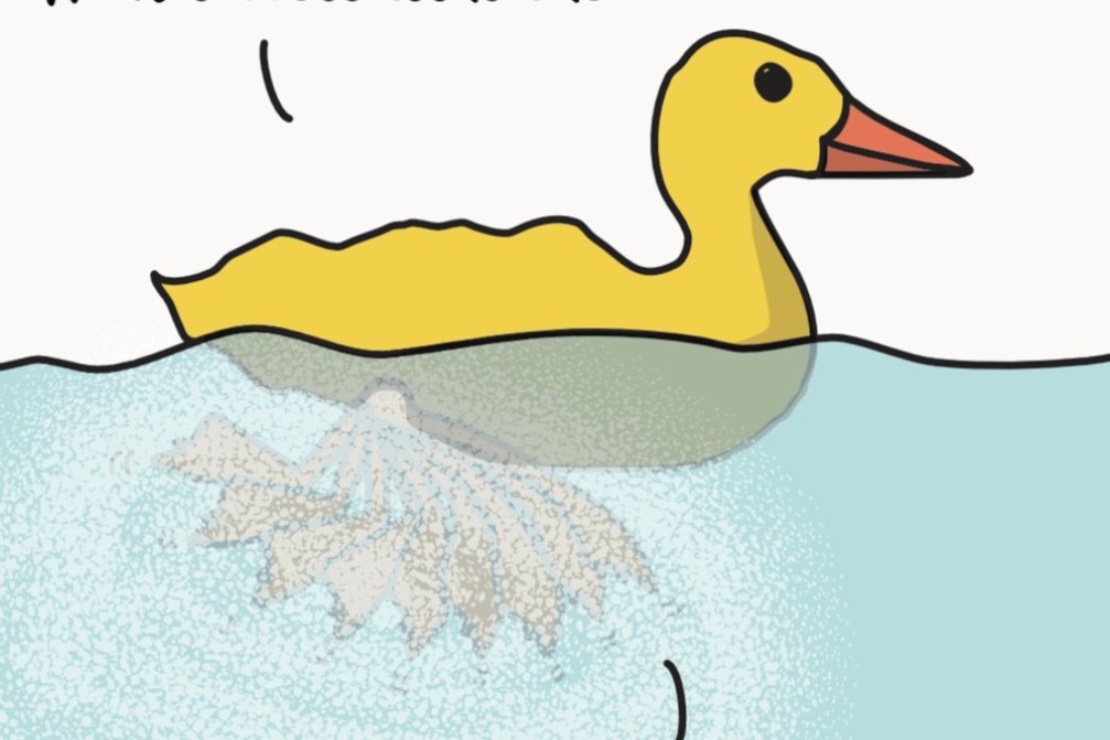 Duck Syndrome ilustration