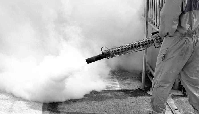 Ratusan Warga di Cirebon Terjangkit DBD, Dinkes Imbau Warga Gencarkan PSN