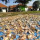 Ikan asin tengah dijemur di terik matahari.