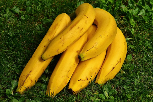 Pisang, favorit namun punah?