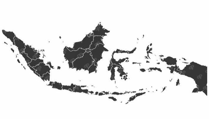 Indeks Daya Saing Daerah (IDSD) BRIN: Menjadi Pilar Penting Pembangunan dan Kemajuan Daerah