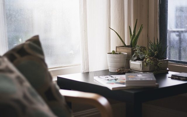 Fenomena Slow Living: Gaya Hidup Pelan yang Kian Digemari di Tengah Dunia Serba Cepat