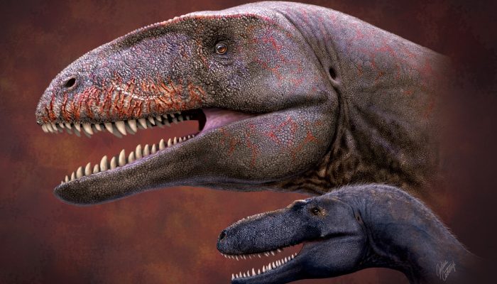 Ulughbegsaurus, Raksasa Purba dari Uzbekistan