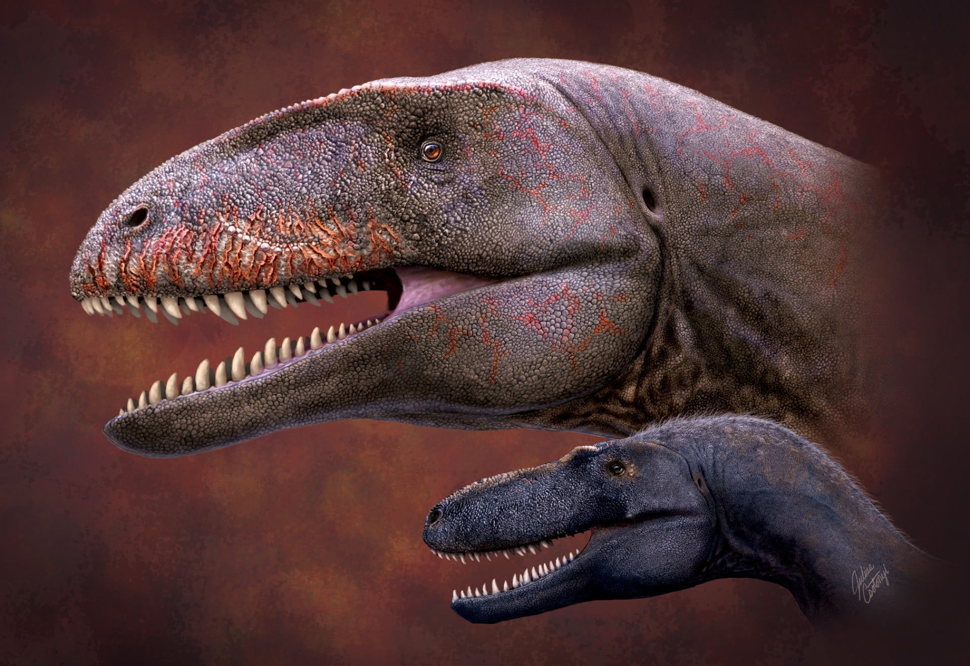 Rekonstruksi kehidupan Ulughbegsaurus uzbekistanensis dan tyrannosauroid yang lebih kecil. Kredit gambar: Julius T. Csotonyi.