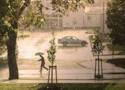 Fenomena Kemarau Basah di Indonesia: Penyebab, Dampak, dan Antisipasinya