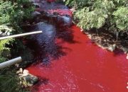 Warga Cirebon Geger, Air Sungai Mendadak Berwarna Merah