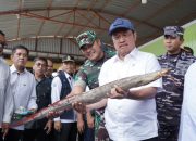 KKP Klaim Selamatkan Rp13 Triliun dari Praktik Penangkapan Ikan Ilegal