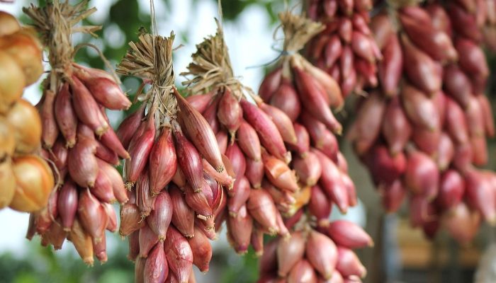 Manfaat Bawang Merah untuk Kesehatan: Dari Daya Tahan Tubuh hingga Kesehatan Jantung