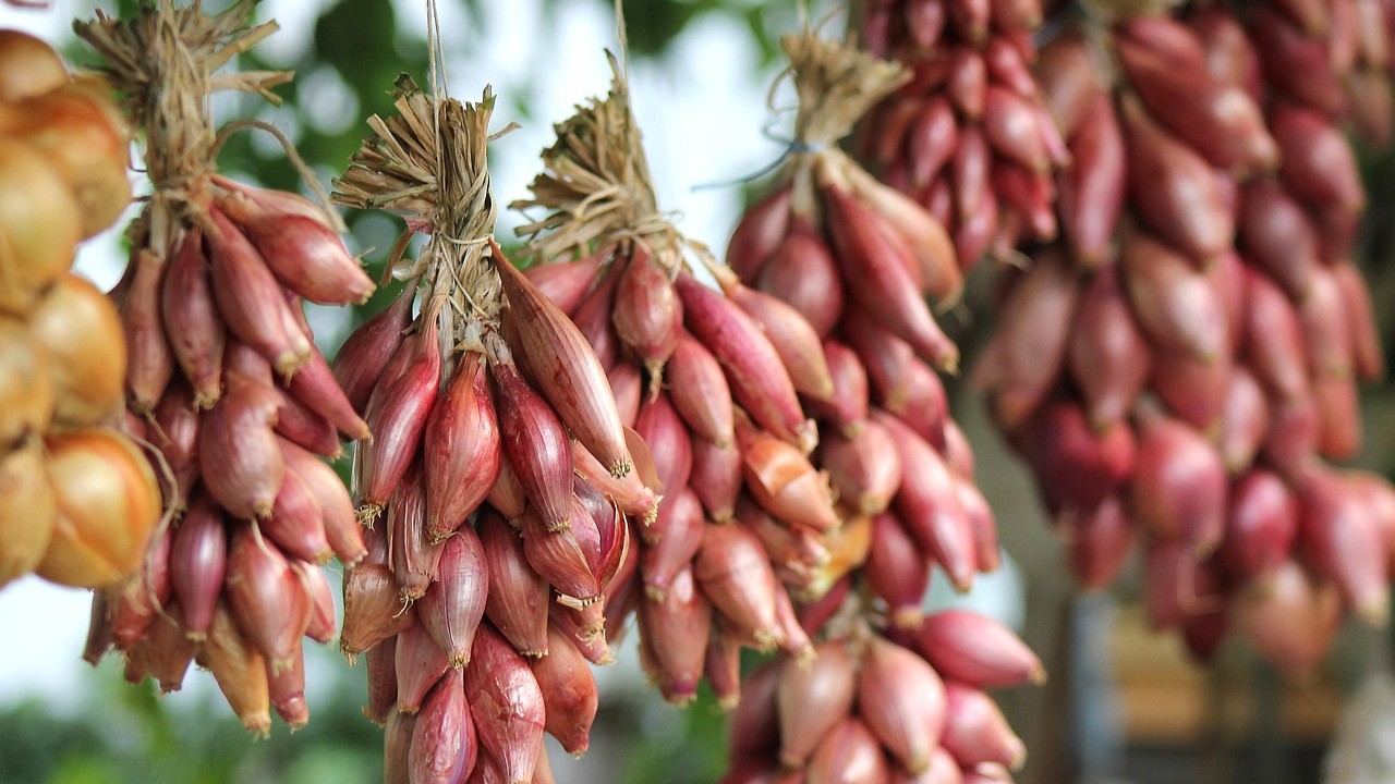 manfaat bawang merah