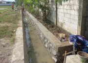 Pemdes Jatibarang Bangun 2,6 Km Drainase, Warga Kini Lebih Nyaman