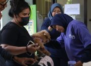 Cegah Zoonosis, Distan Cirebon Gelar Vaksinasi Rabies Massal di Tiga Lokasi