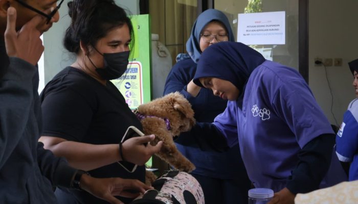 Cegah Zoonosis, Distan Cirebon Gelar Vaksinasi Rabies Massal di Tiga Lokasi