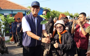 Hari Mangrove Sedunia