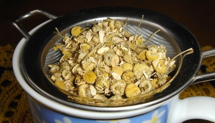Fitofarmaka: Bukti Ilmiah di Balik Obat Herbal yang Setara dengan Obat Modern
