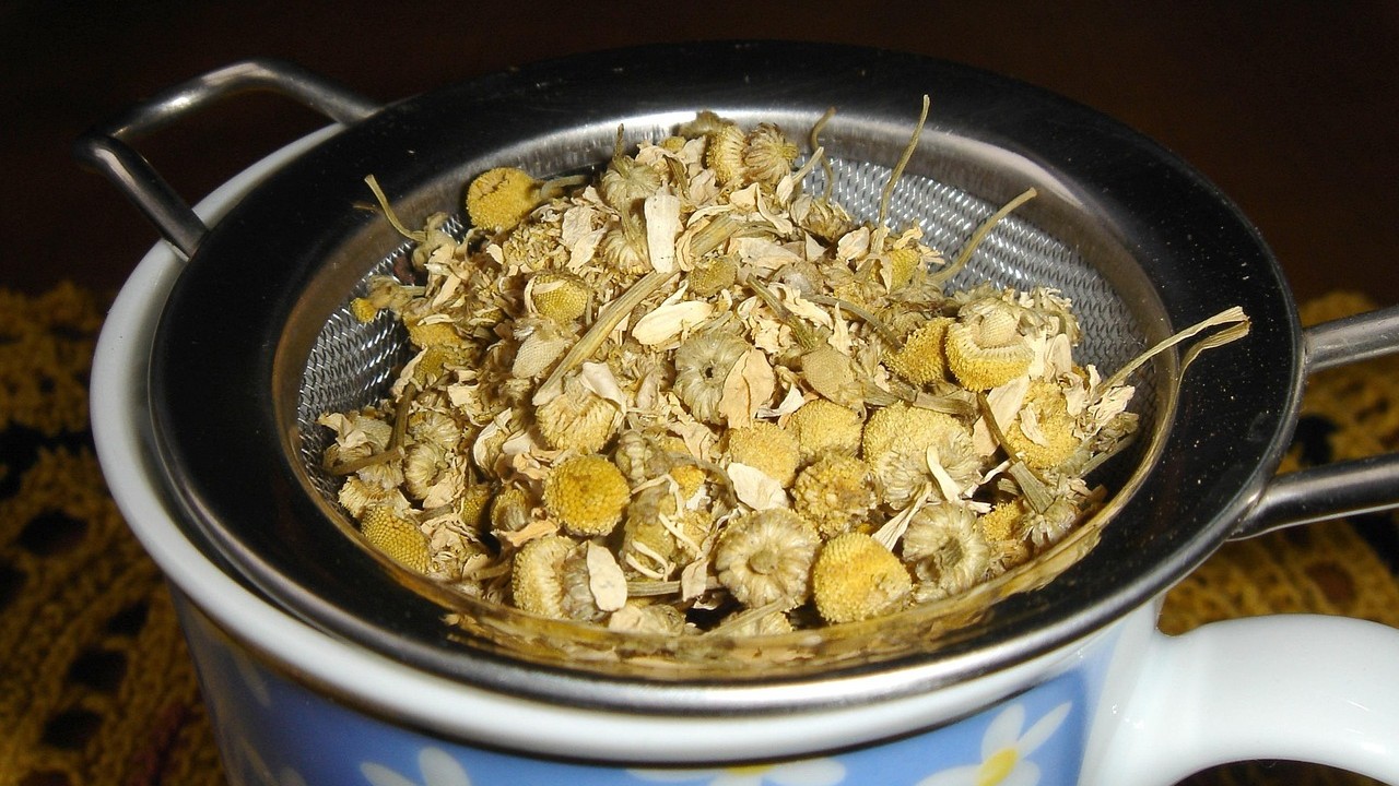 fitofarmaka