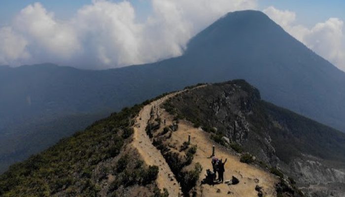 Kenapa Gunung Gede? Ini Daya Tariknya
